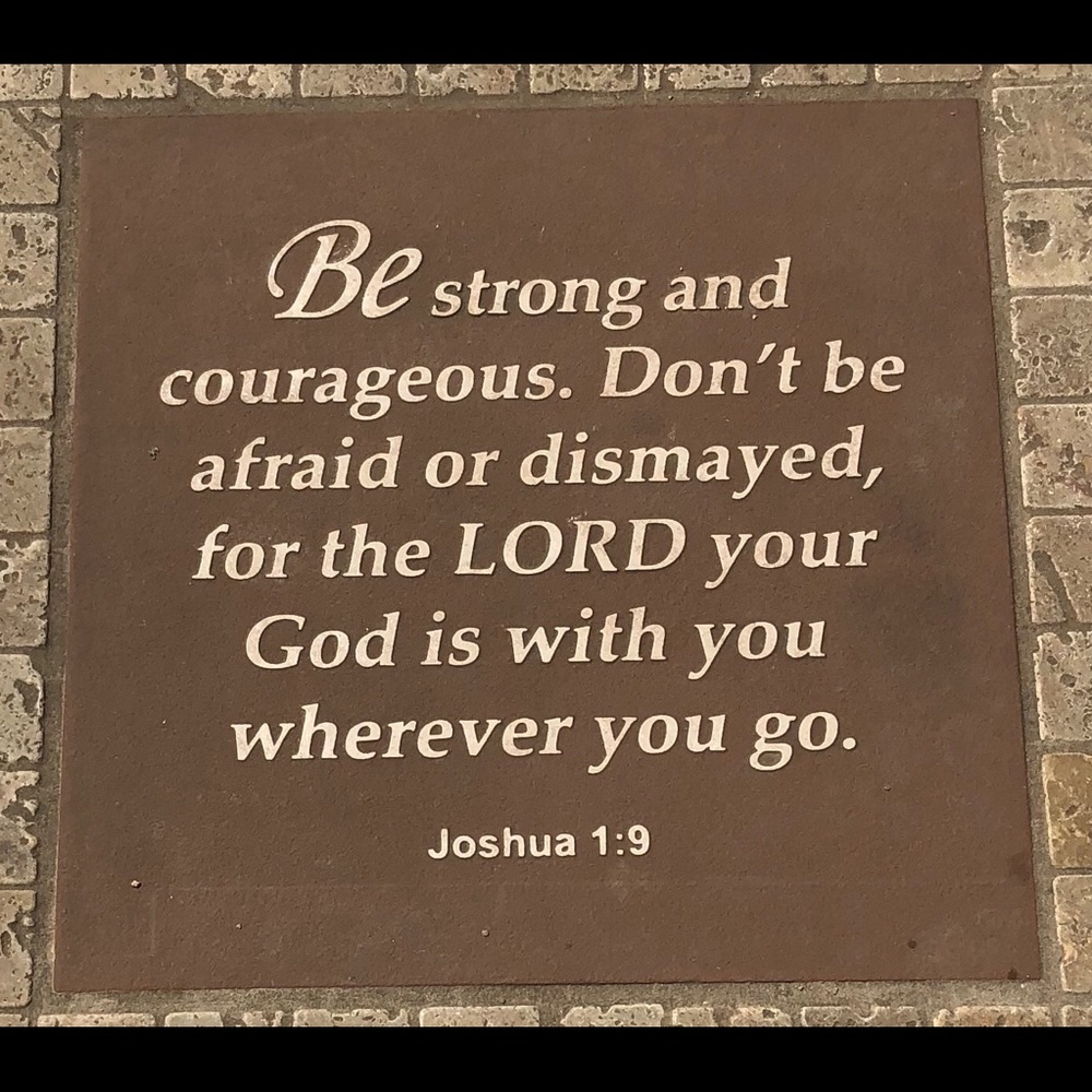 Meet your Posher, Lynne